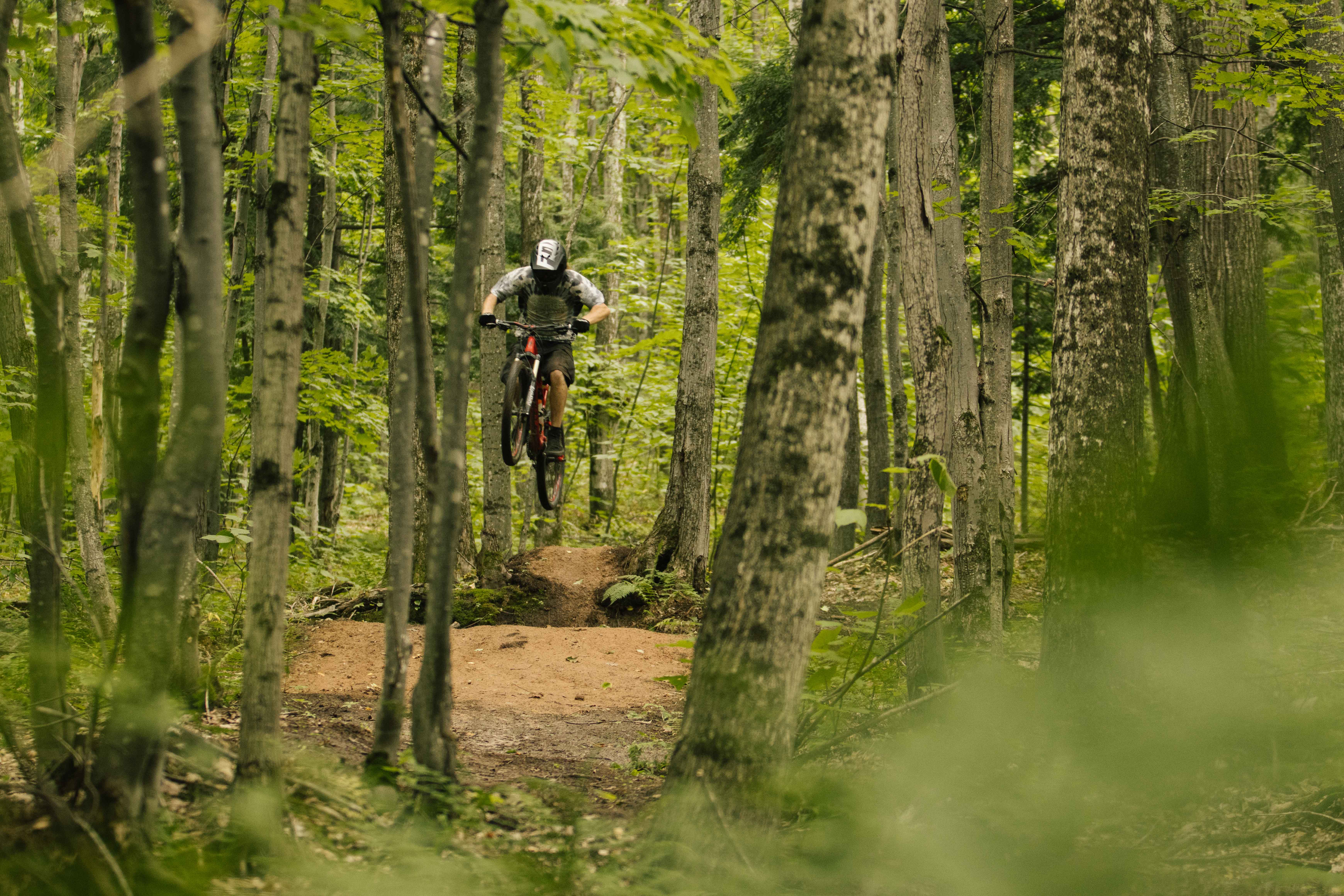 Mountain biker on a trail.