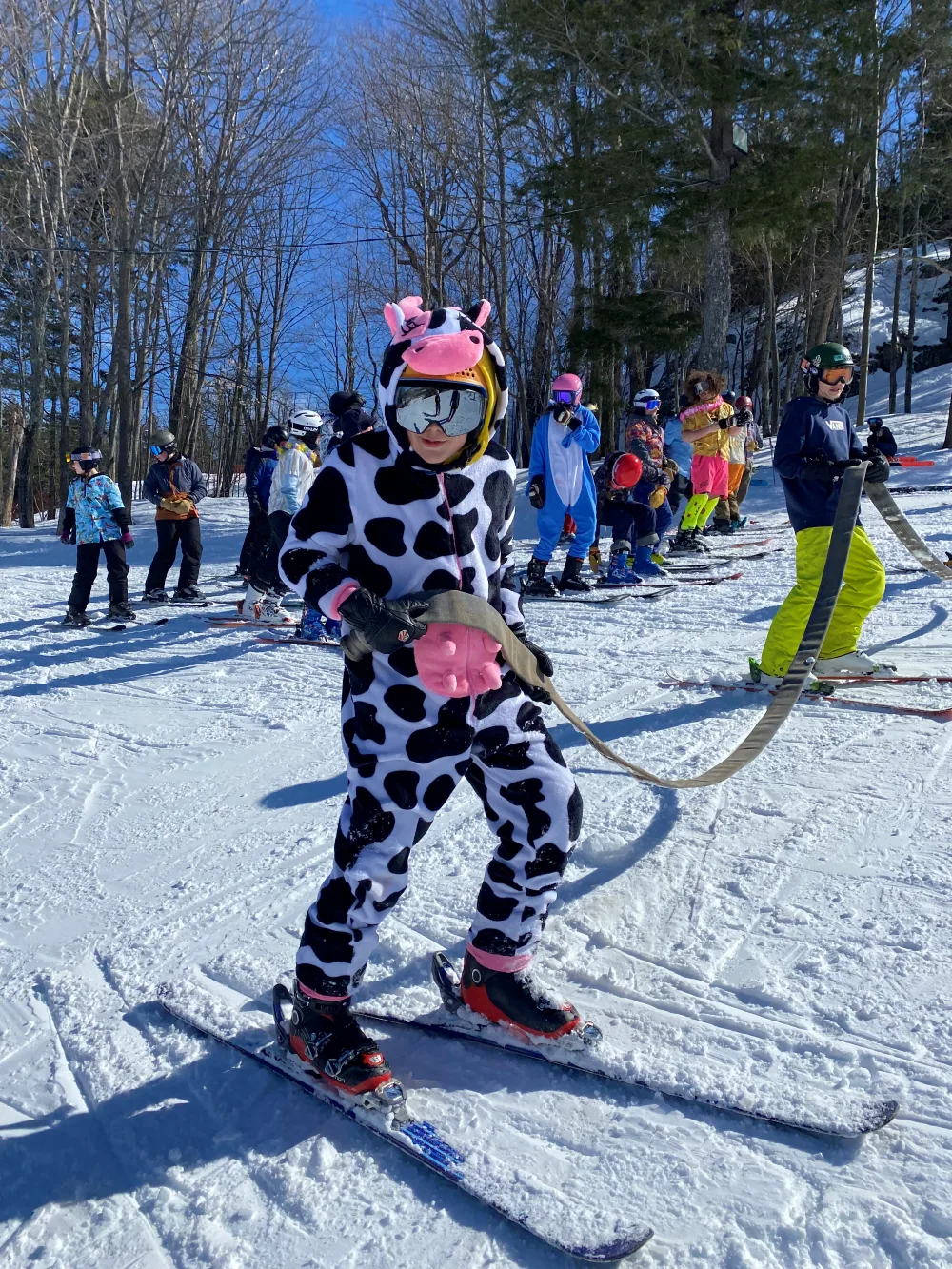 Skier in a cow costume.