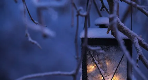 Lit lantern hanging on a snowy tree