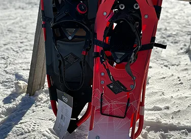 Red Dark Grey Snowshoes Email